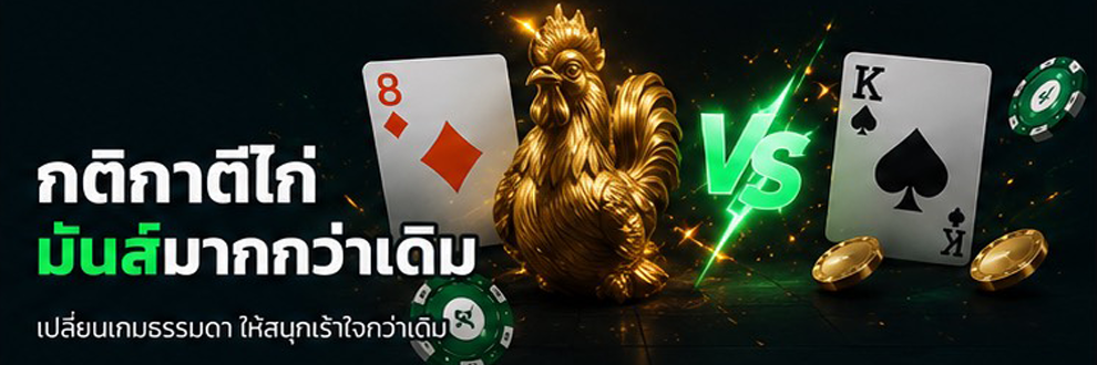 โปรโมชัน 4